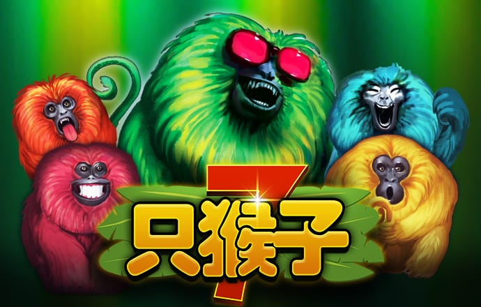 高云体育官网入口