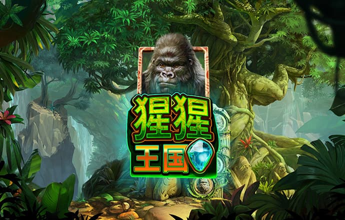 js3333线路检测中心